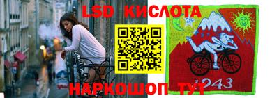 прущие грибы Ирбит
