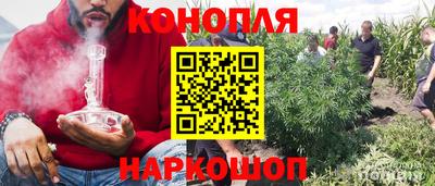 прущие грибы Ирбит