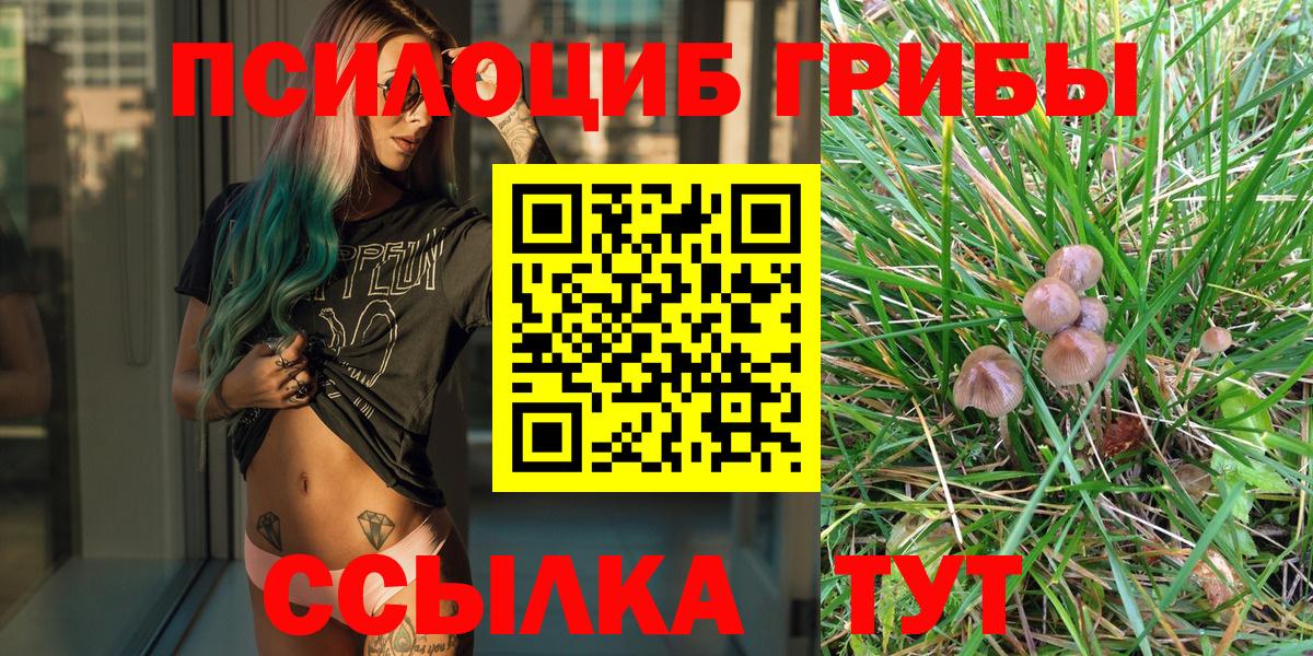 Галлюциногенные грибы Cubensis Лабытнанги
