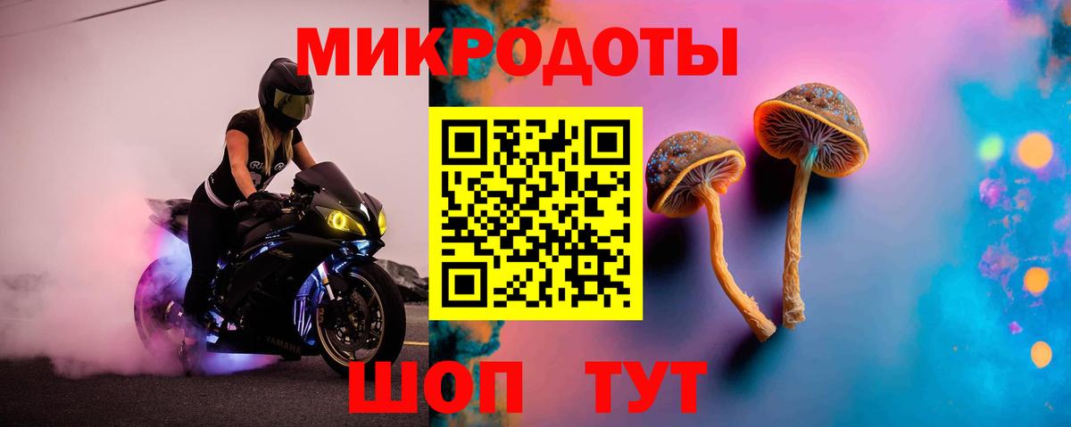 Лабытнанги  Галлюциногенные грибы Psilocybe  Вход с VPN 